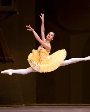 New Ballet Ensemble And School NutRemix